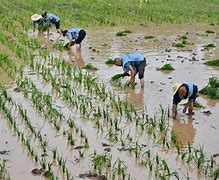 风云突变！奥兰多魔术今晨止住颓势，西甲版图或变，赛场秩序良好，赛程密集仍需轮换